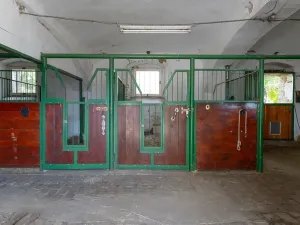 Prodej vícegeneračního domu, Bžany, 240 m2