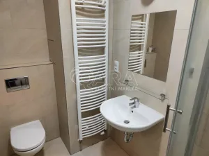 Pronájem bytu 1+kk, Praha - Letňany, Kadečkové, 38 m2