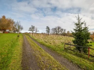 Prodej louky, Česká Kamenice, 2224 m2