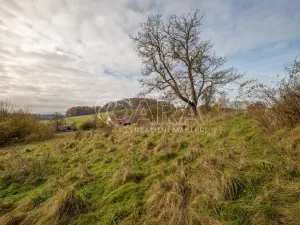 Prodej louky, Česká Kamenice, 7273 m2
