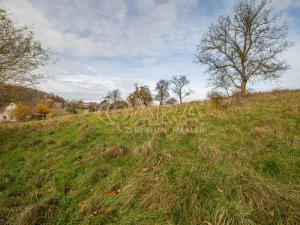 Prodej louky, Česká Kamenice, 7273 m2