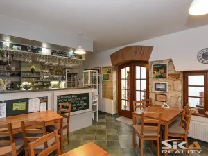 Prodej ubytování, Peruc, Oldřichova, 180 m2