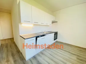 Pronájem bytu 2+1, Ostrava - Hrabůvka, Cholevova, 57 m2