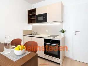 Pronájem bytu 1+kk, Plzeň - Jižní Předměstí, Magisterská, 27 m2