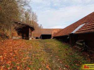 Prodej zemědělské usedlosti, Kněževes - Jobova Lhota, 175 m2