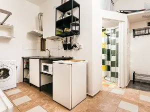 Prodej bytu 1+1, Brno, Hlinky, 27 m2