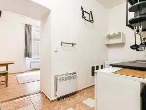 Prodej bytu 1+1, Brno, Hlinky, 27 m2