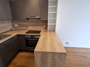 Pronájem bytu 2+kk, Praha, Kryšpínova, 59 m2