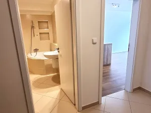 Pronájem bytu 2+kk, Praha, Kryšpínova, 59 m2