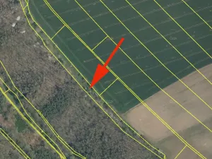 Prodej podílu lesa, Hrdlořezy, 3528 m2