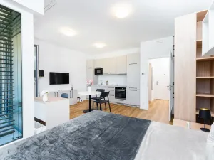 Pronájem bytu 1+kk, Praha - Vysočany, Odkolkova, 36 m2