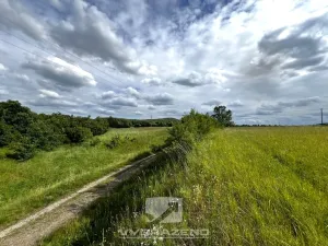 Prodej louky, Bakov nad Jizerou, 3309 m2