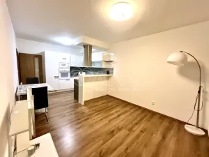 Pronájem bytu 2+kk, Plzeň - Bolevec, U Velkého rybníka, 58 m2