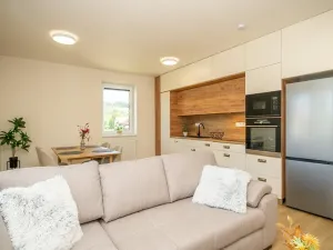 Prodej bytu 1+kk, Jablůnka, 41 m2