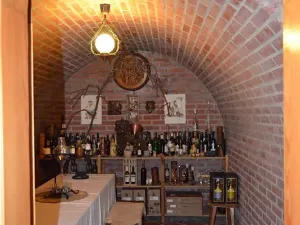 Pronájem bytu 4+kk, Židlochovice, Tyršova, 85 m2