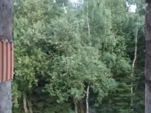 Prodej rodinného domu, Jestřabí v Krkonoších, 1, 420 m2