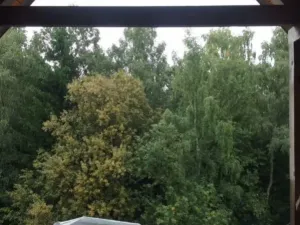 Prodej rodinného domu, Jestřabí v Krkonoších, 1, 420 m2