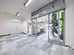 Pronájem kanceláře, Olomouc, Karolíny Světlé, 130 m2