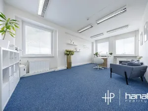 Pronájem kanceláře, Olomouc, Karolíny Světlé, 30 m2