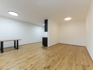 Pronájem bytu 1+kk, Praha - Nusle, Muzikova, 50 m2