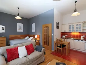 Pronájem bytu 1+kk, Praha - Vinohrady, Sázavská, 35 m2