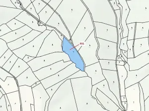 Dražba louky, Jílové u Držkova, 4019 m2