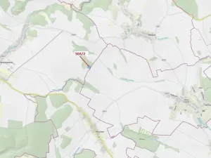 Dražba lesa, Přemyslovice, 6942 m2