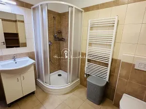 Pronájem bytu 2+kk, Boršov nad Vltavou, Příčná, 55 m2