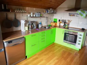 Pronájem bytu 1+kk, Plzeň, Bezová, 75 m2