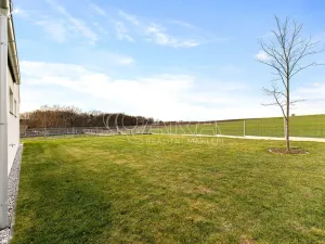 Prodej rodinného domu, Radějovice - Olešky, 218 m2