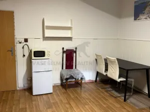 Pronájem atypického bytu, Praha - Košíře, Vrchlického, 20 m2