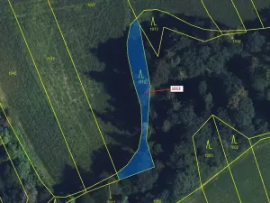 Dražba lesa, Spešov, 500 m2