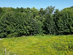 Prodej louky, Křižany, 2663 m2