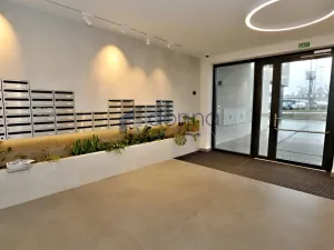 Pronájem bytu 1+kk, Praha, V třešňovce, 43 m2