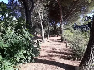 Prodej zemědělské usedlosti, Carsan, Francie, 386 m2