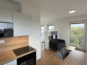 Pronájem bytu 1+kk, Přerov, Čechova, 32 m2