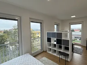 Pronájem bytu 1+kk, Přerov, Čechova, 32 m2