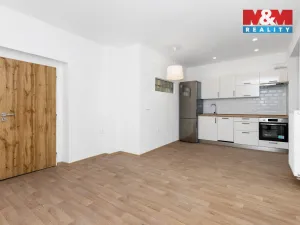 Pronájem rodinného domu, Pardubice - Bílé Předměstí, Husova, 70 m2