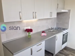 Pronájem bytu 2+1, Ostrava - Hrabůvka, Plzeňská, 53 m2