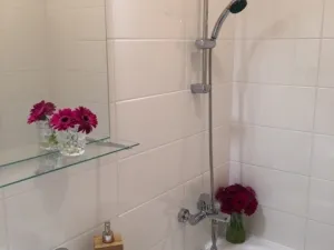 Pronájem bytu 2+1, Ostrava - Hrabůvka, Plzeňská, 53 m2