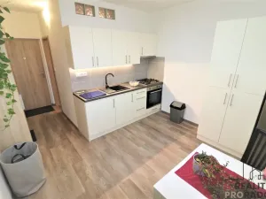 Pronájem bytu 1+1, Ostrava - Moravská Ostrava, Petra Křičky, 40 m2