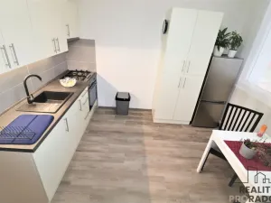 Pronájem bytu 1+1, Ostrava - Moravská Ostrava, Petra Křičky, 40 m2