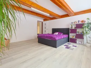 Prodej zemědělské usedlosti, Úštěk - Rochov, 400 m2