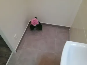 Pronájem bytu 1+1, Ostrava - Hrabůvka, Dr. Martínka, 36 m2