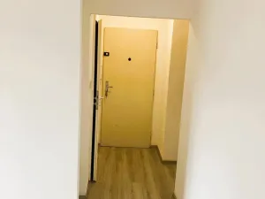 Pronájem bytu 1+kk, Ostrava - Hrabůvka, Krakovská, 22 m2