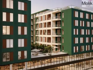 Prodej bytu 2+kk, Golem, 42 m2