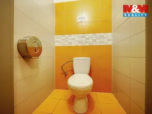 Pronájem obchodního prostoru, Plzeň - Severní Předměstí, Pod Všemi svatými, 12 m2