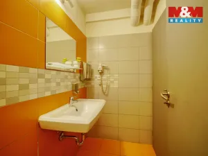 Pronájem obchodního prostoru, Plzeň - Severní Předměstí, Pod Všemi svatými, 12 m2