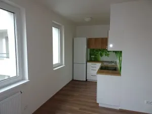 Pronájem bytu 1+kk, Pardubice - Zelené Předměstí, Bratranců Veverkových, 33 m2