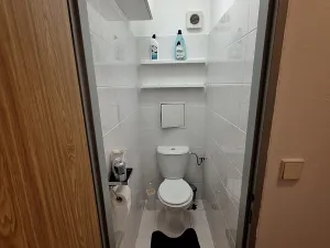 Pronájem bytu 2+kk, Plesná, Kostelní, 42 m2